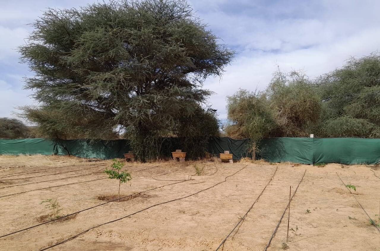 Intérieur du logement de la ferme