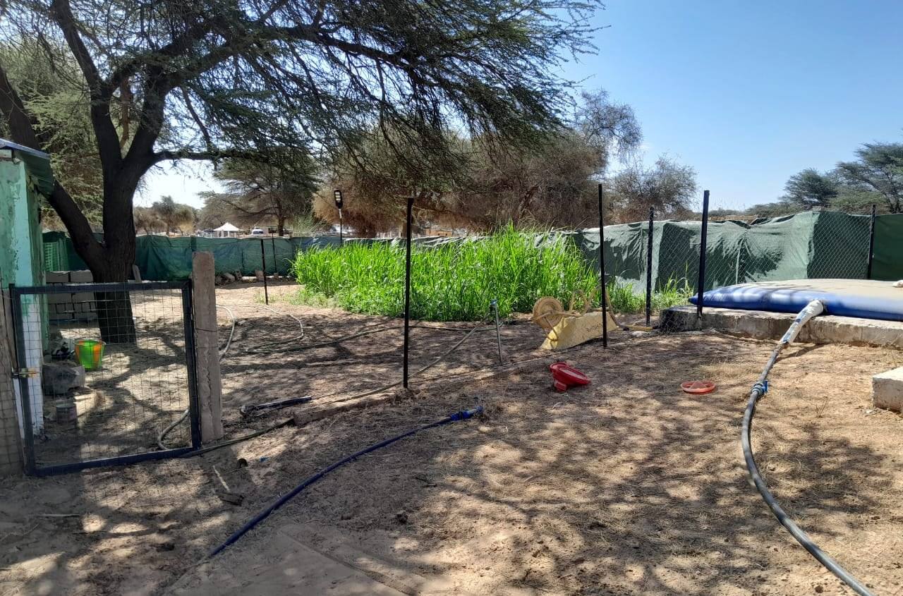 Culture irriguée sur le site KISAL